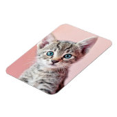 Magnet Flexible Cute kitten with blue eyes. (Côté Gauche)