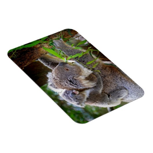 Magnet Flexible Cute Koalas (Côté Droit)