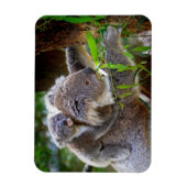 Magnet Flexible Cute Koalas (Vertical)
