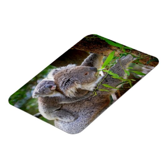 Magnet Flexible Cute Koalas (Côté Gauche)
