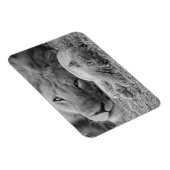 Magnet Flexible Cute Lion Cub Repose Avec Le Père (Côté Droit)
