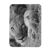 Magnet Flexible Cute Lion Cub Repose Avec Le Père (Vertical)