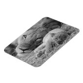 Magnet Flexible Cute Lion Cub Repose Avec Le Père (Côté Gauche)