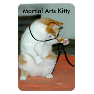 Magnet Flexible Cute Martial Arts Kitty Aimant Flexible