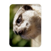MAGNET FLEXIBLE CUTE MEERKAT (Vertical)