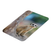 Magnet Flexible Cute Meerkat Sat sur arbre (Côté Gauche)