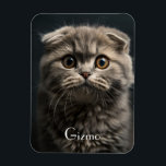 Magnet Flexible Cute Moderne Réfrigérateur Chat Pet Photo<br><div class="desc">Cute Moderne Réfrigérateur Chat Pet Photo Magnet</div>