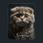 Magnet Flexible Cute Moderne Réfrigérateur Chat Pet Photo<br><div class="desc">Cute Moderne Réfrigérateur Chat Pet Photo Magnet</div>