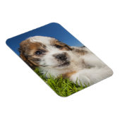 Magnet Flexible Cute puppy dog (Côté Droit)