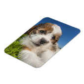 Magnet Flexible Cute puppy dog (Côté Gauche)