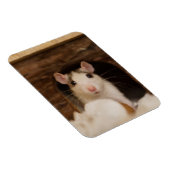 Magnet Flexible Cute rat (Côté Droit)