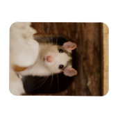 Magnet Flexible Cute rat (Horizontal)
