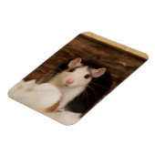 Magnet Flexible Cute rat (Côté Gauche)