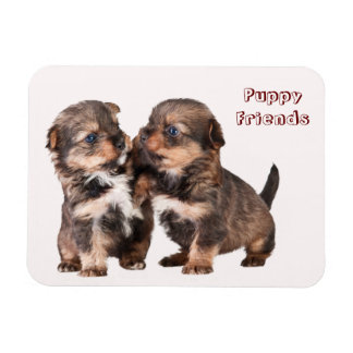 Magnet Flexible Cute Yorkshire