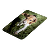 Magnet Flexible Cutest Baby Animals | Beagle Puppy (Côté Gauche)
