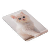 Magnet Flexible Cutest Baby Animals | Blue Eye Kitten (Côté Droit)