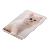 Magnet Flexible Cutest Baby Animals | Blue Eye Kitten (Côté Gauche)