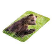 Magnet Flexible Cutest Baby Animals | Brown Bear Cub Wave (Côté Gauche)