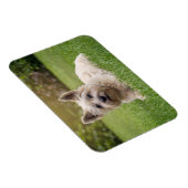 Magnet Flexible Cutest Baby Animals | Cairn Terrier Dog (Côté Droit)