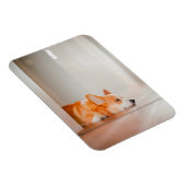 Magnet Flexible Cutest Baby Animals | Corgi Sleeping (Côté Droit)