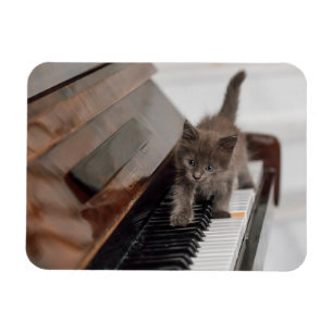 Magnet Flexible Cutest Baby Animals Kitten on Piano