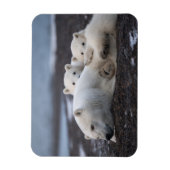 Magnet Flexible Cutest Baby Animals | Polar Bear Family Alaska (Vertical)