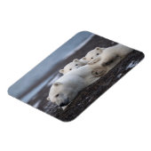 Magnet Flexible Cutest Baby Animals | Polar Bear Family Alaska (Côté Gauche)