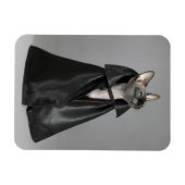 Magnet Flexible Cutest Baby Animals | Sphynx Hairless Cat (Horizontal)