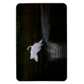 Magnet Flexible Cygne trompette (Vertical)