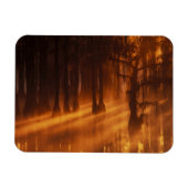 Magnet Flexible Cypress Trees | Parc d'état George Smith (Horizontal)