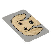 Magnet Flexible Dachshund à crème à poils longs | Cartoon Wiener D (Côté Droit)