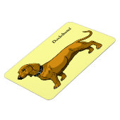 Magnet Flexible dachshund brun (Côté Gauche)