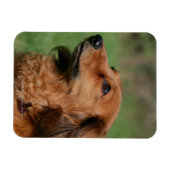 Magnet Flexible Dachshund miniature à cheveux longs 2 (Horizontal)