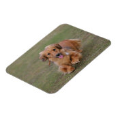 Magnet Flexible Dachshund Miniture en cours d'exécution (Côté Gauche)