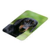 Magnet Flexible Dachshund noir et tan Miniture 1 (Côté Gauche)