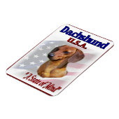 Magnet Flexible Dachshund USA (Côté Gauche)
