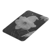 Magnet Flexible Daffodile sauvage (Côté Gauche)