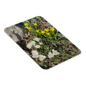 Magnet Flexible Daffodiles & Crocus (Côté Droit)