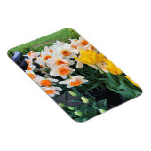 Magnet Flexible Daffodils et tulips, Oregon (Côté Droit)