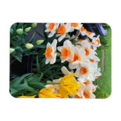 Magnet Flexible Daffodils et tulips, Oregon (Horizontal)