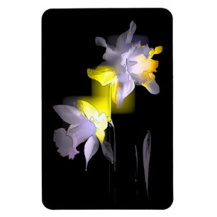 Magnet Flexible Daffodiques cubes