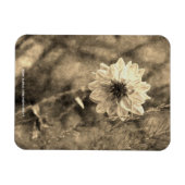 Magnet Flexible Dahlia (Horizontal)
