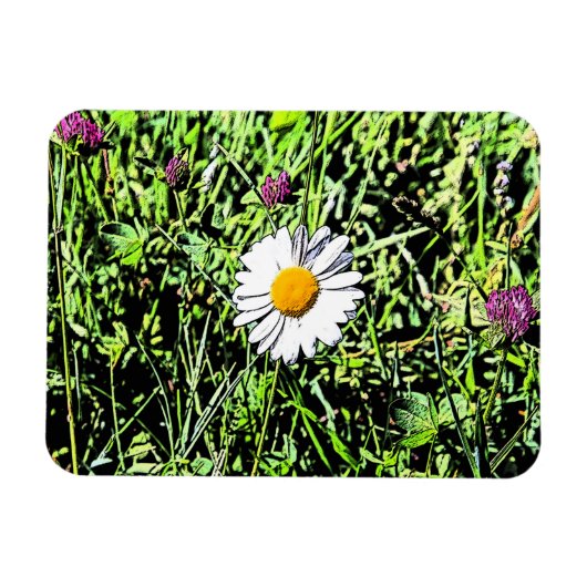 Magnet Flexible Daisy (Horizontal)