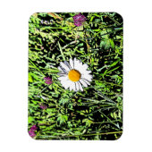 Magnet Flexible Daisy (Vertical)