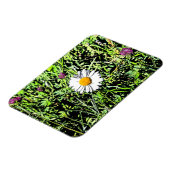 Magnet Flexible Daisy (Côté Gauche)