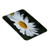 Magnet Flexible Daisy - Face vers le haut (Côté Droit)