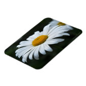Magnet Flexible Daisy - Face vers le haut (Côté Gauche)