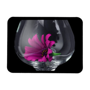 Magnet Flexible Daisy Rose De Près Dans Un Verre À Vin