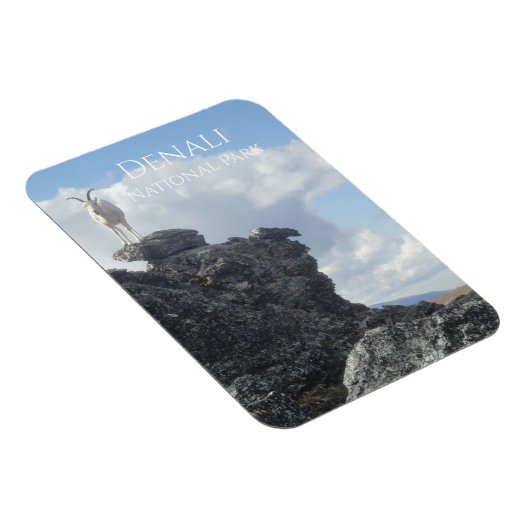 Magnet Flexible Dall Sheep Atop Mount Wright, Denali NP, Alaska (Côté Droit)