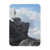 Magnet Flexible Dall Sheep Atop Mount Wright, Denali NP, Alaska (Vertical)